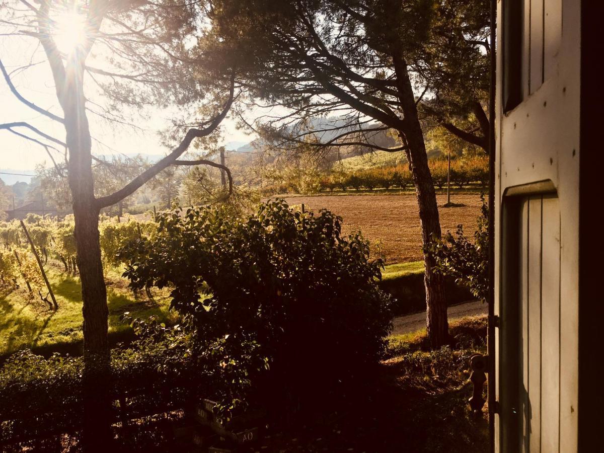 Il Cardello Locanda Casola Valsenio Exteriör bild