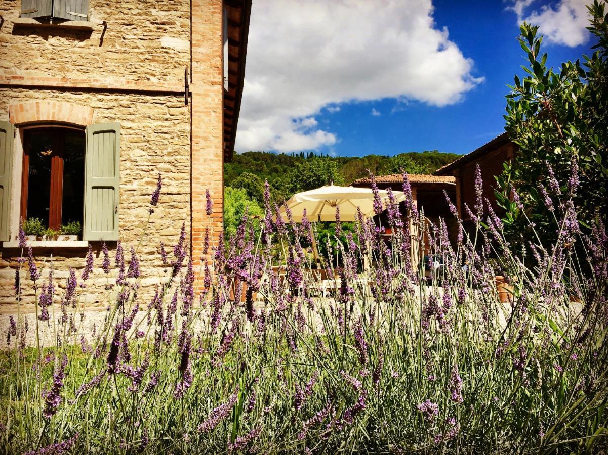 Il Cardello Locanda Casola Valsenio Exteriör bild