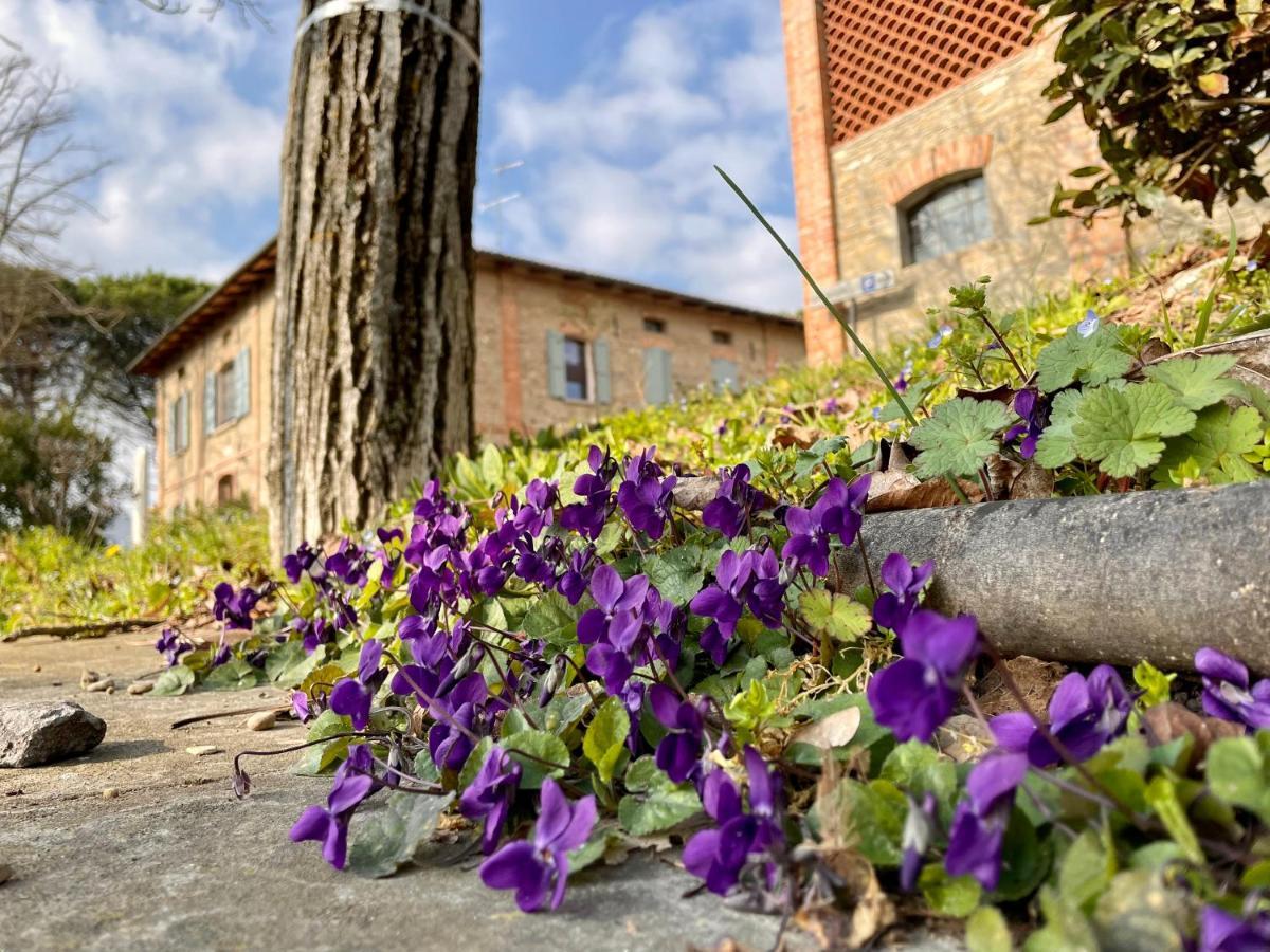 Il Cardello Locanda Casola Valsenio Exteriör bild